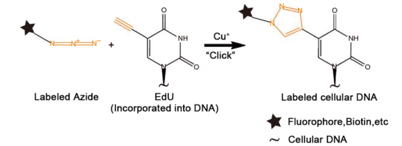 1631756566729429.png 图片2.png